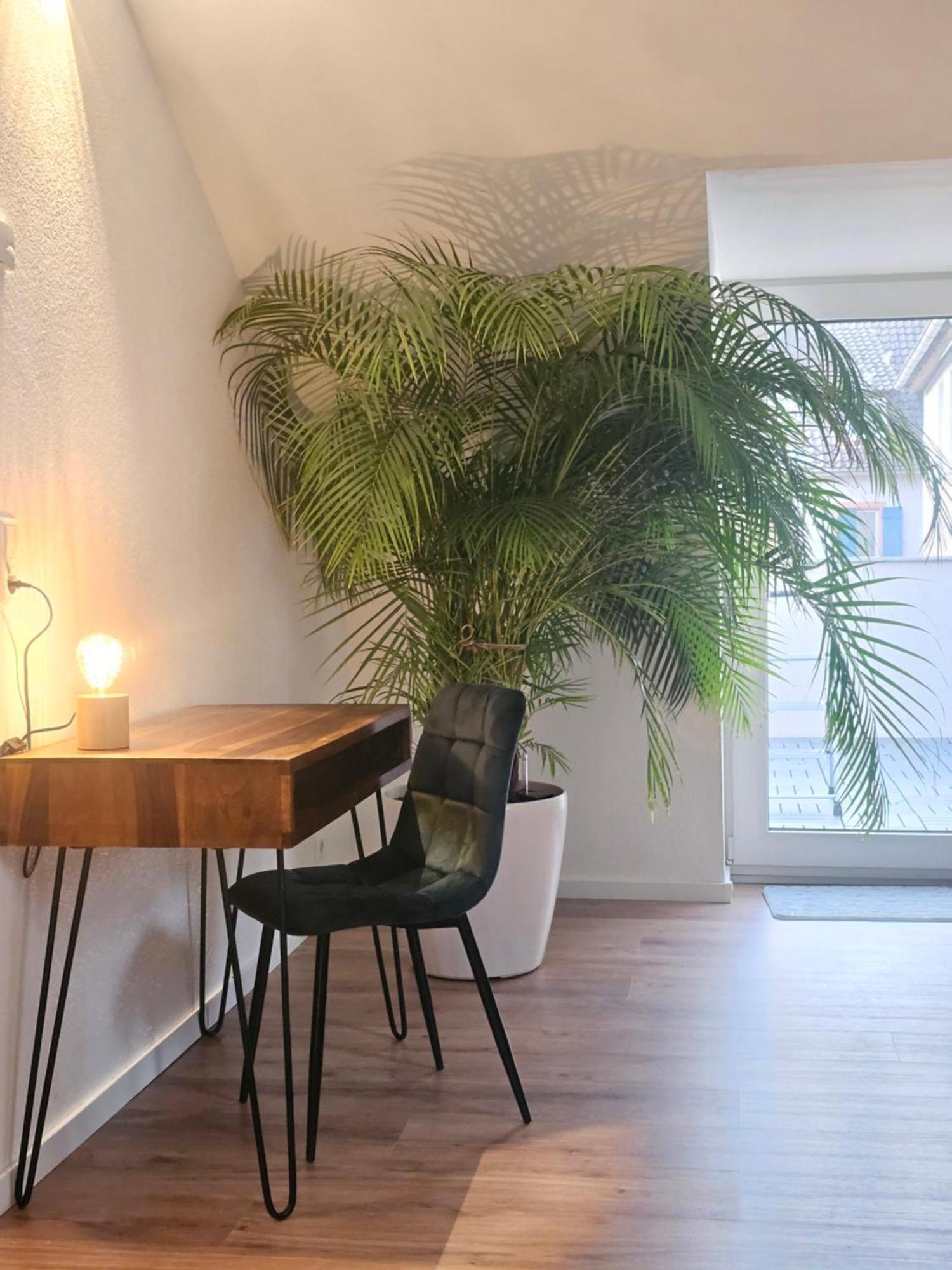 Design-Penthouse I 90Qm I Europapark 20 Min I Boxspring I Nespresso I Parking Apartment Лар Екстериор снимка